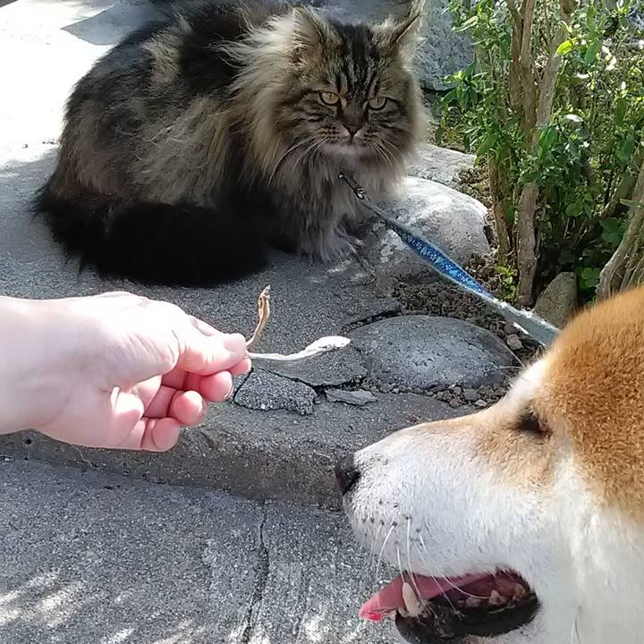 06b3b263 8c26 46f4 8a6d 176584cf854f 1652138493548