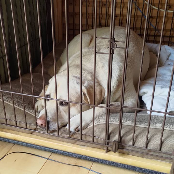 06b3d6bb 7284 4e0f 808a 2cb6331f0726 1650094820651