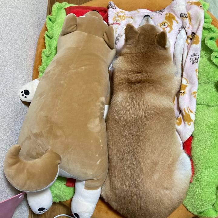 06b3dcc1 6877 48ae a500 b70051ad7eb5 1640353210036