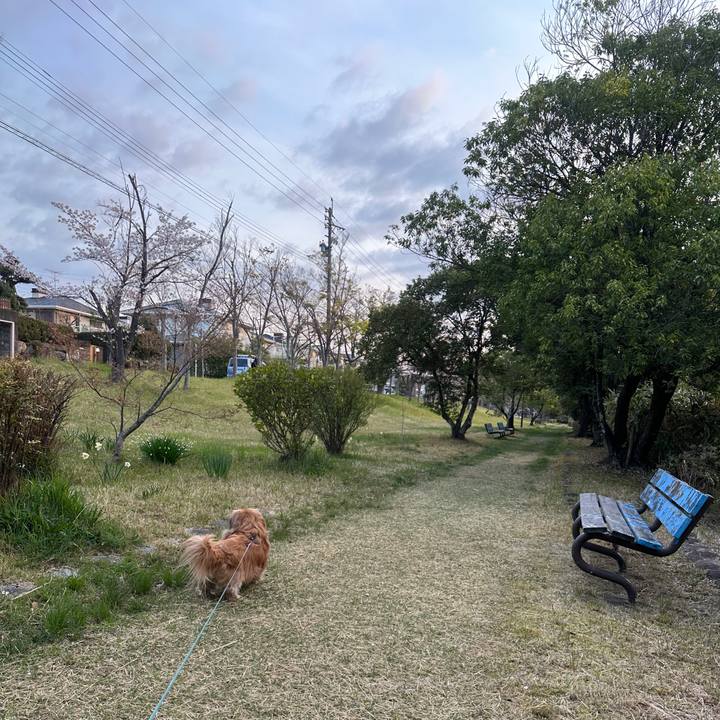 06b418f6 35b4 4b7b b5ae 10c4fb4a8bae 1744233725265