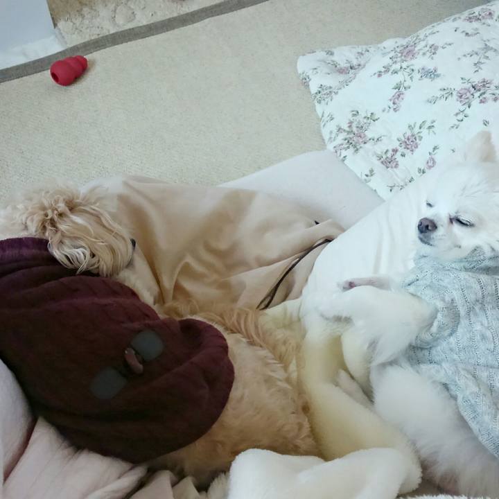 06b42566 402f 4a35 bdd5 6a18ce69f990 1510449103413