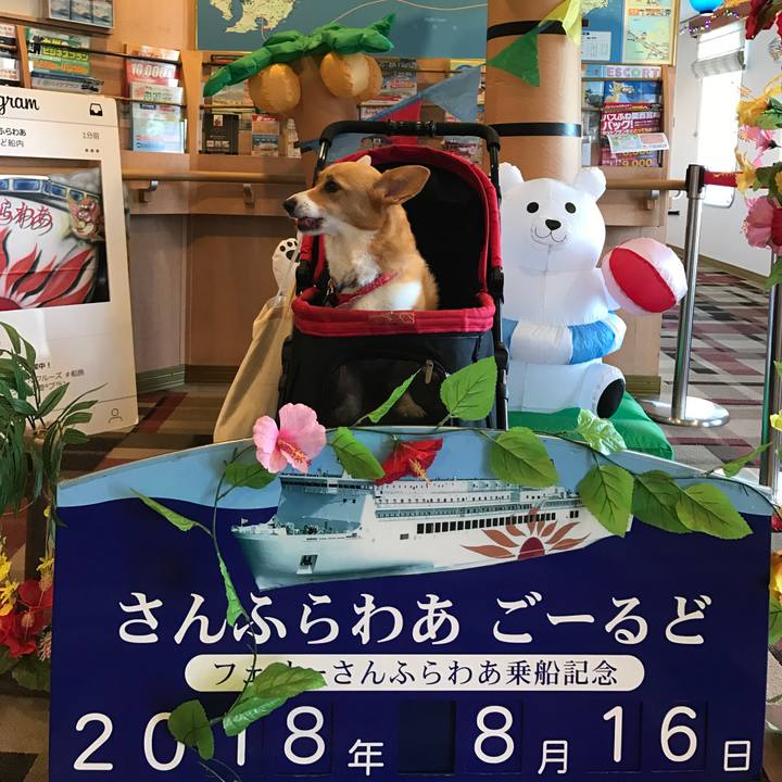 06b45aa7 f89a 407e 9a41 3a198ba730bd 1534379714373