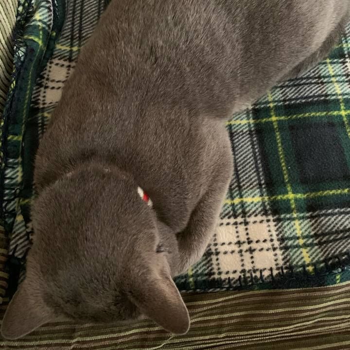 06b46683 de0b 4233 8a56 71185afa87f6 1588196810878