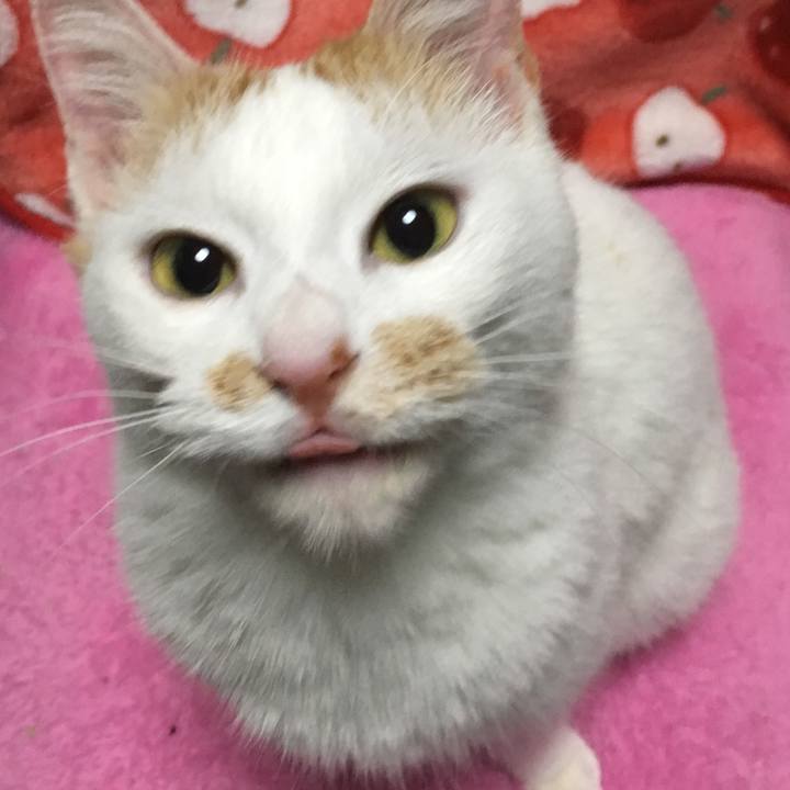 06b47f2f 1bd5 4113 8a35 8e74dbeb51d2 1514292436625