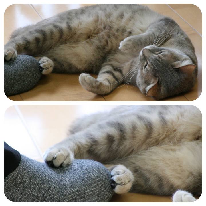 06b4abf1 4d18 4112 bab7 ca48dbb5d86a 1520937261059