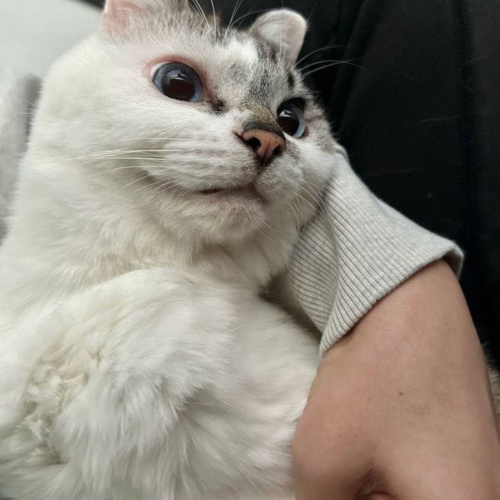 06b4b415 4236 4e0c bb5e 1c0b703b3d07 1711154089753