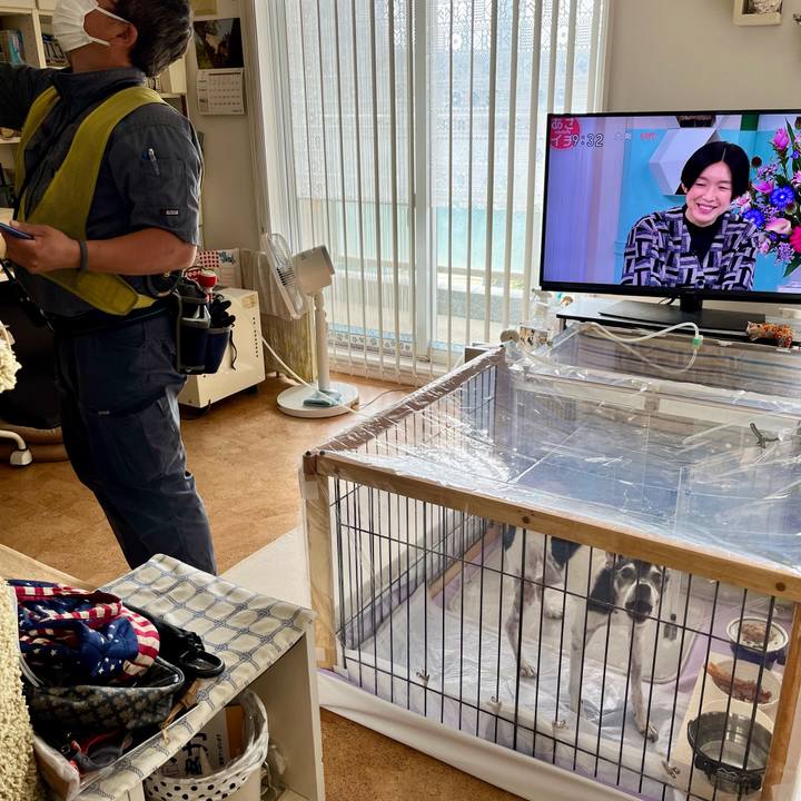 06b4c636 caaf 4cee 9f09 167bbf9e18f0 1659139597923