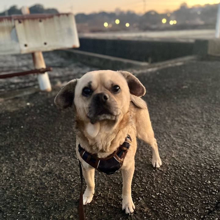 06b4e24c 40c1 45bb 9522 90c3ce9a01f9 1768392565229