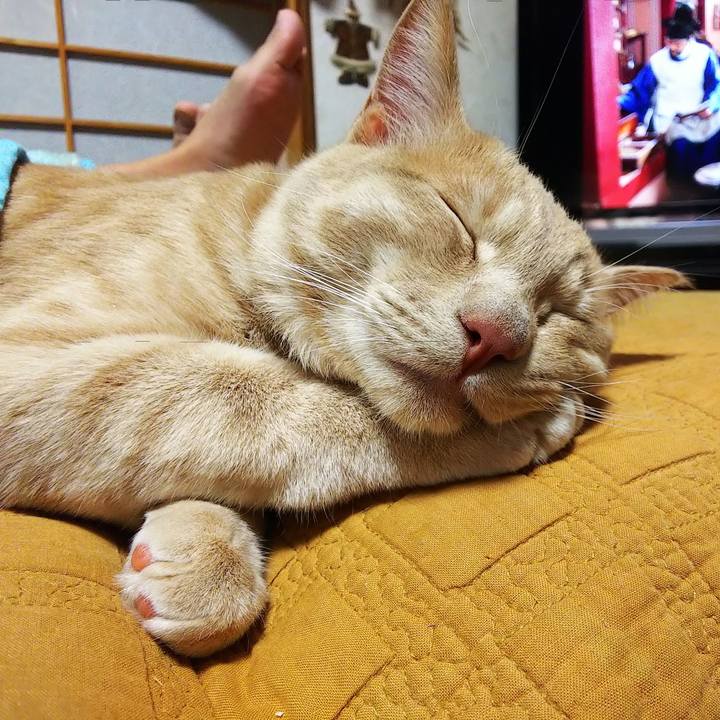 06b4e50f b5e6 4c9f a017 e16fd055d100 1554642754663