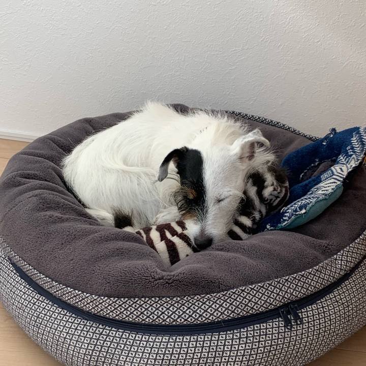 06b56284 c1c4 479b b2e4 64a6b40af56c 1668141262303