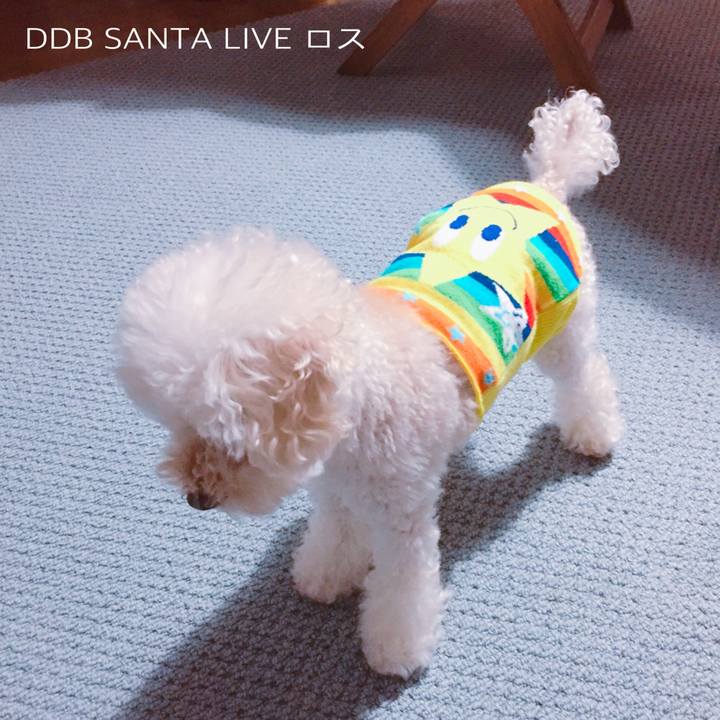 06b59ffe 0809 44fa 8a2f d44c78f42dc9 1513493073740