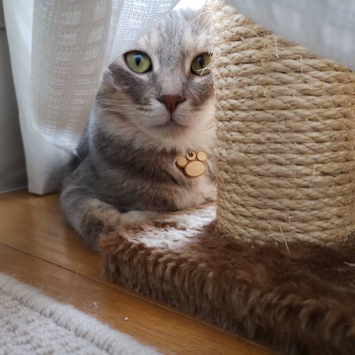 06b5ec05 2a87 49a4 b256 120677613fb9 1557973000504