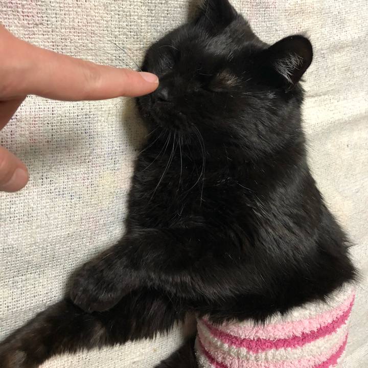 06b5ef97 a733 4899 a839 7d0c98792839 1610544591175