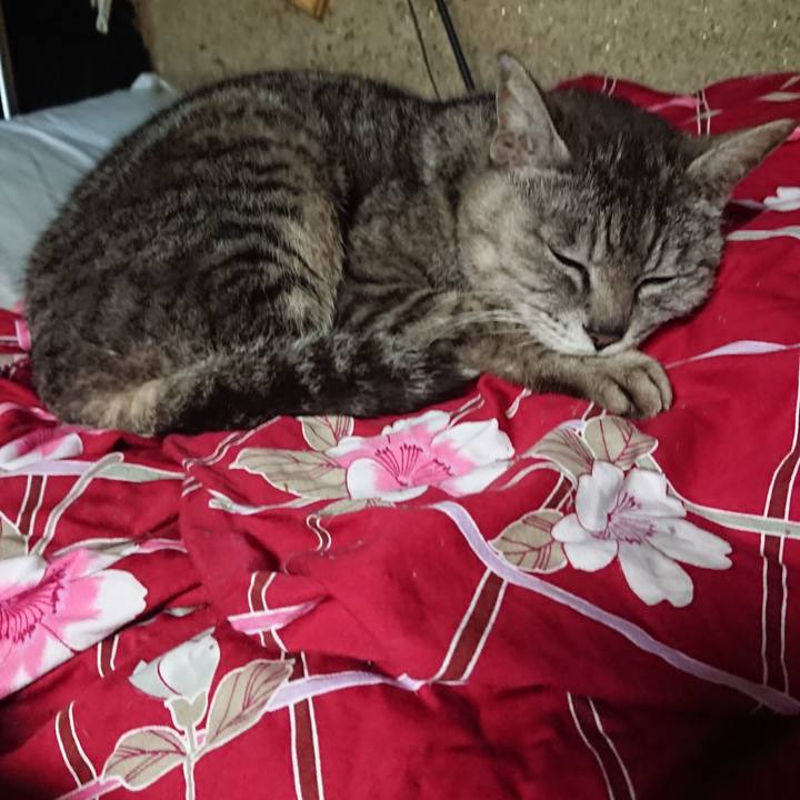 06b61d1b baca 4ab9 9506 6817140b21d5 1561929397434