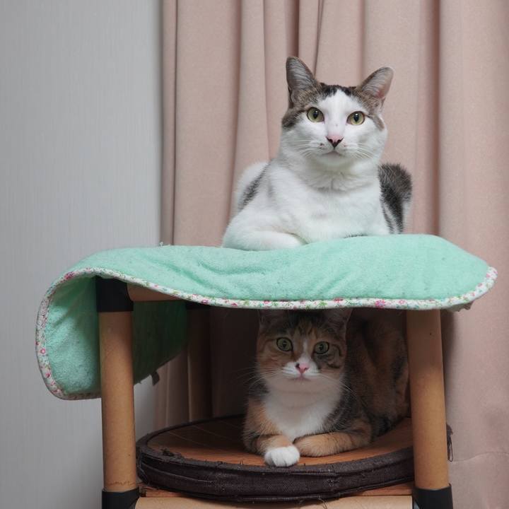 06b625de 112c 48a7 8247 8fa55e9da2e7 1602222867850