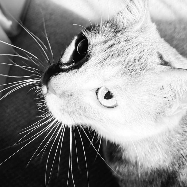 06b671df dc00 4c56 9079 17bdfc87931d 1619316246477