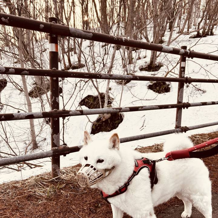 06b68c99 6011 4487 8c04 4a14a4917fdf 1712440258155