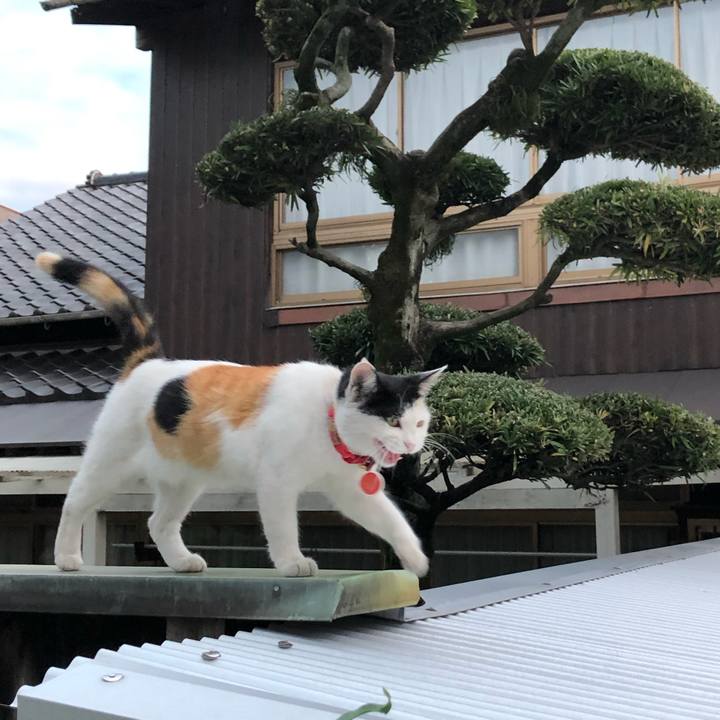 06b69626 24a4 4cd9 b402 9b827419b1d2 1632953232965