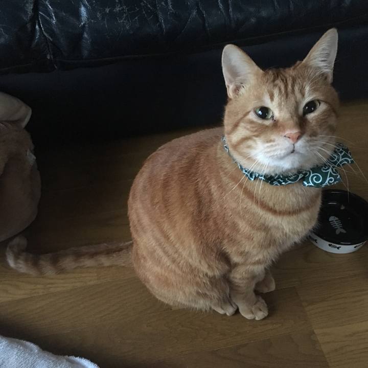 06b6d315 2bd8 4504 88fd 6b63897912d4 1549750163343