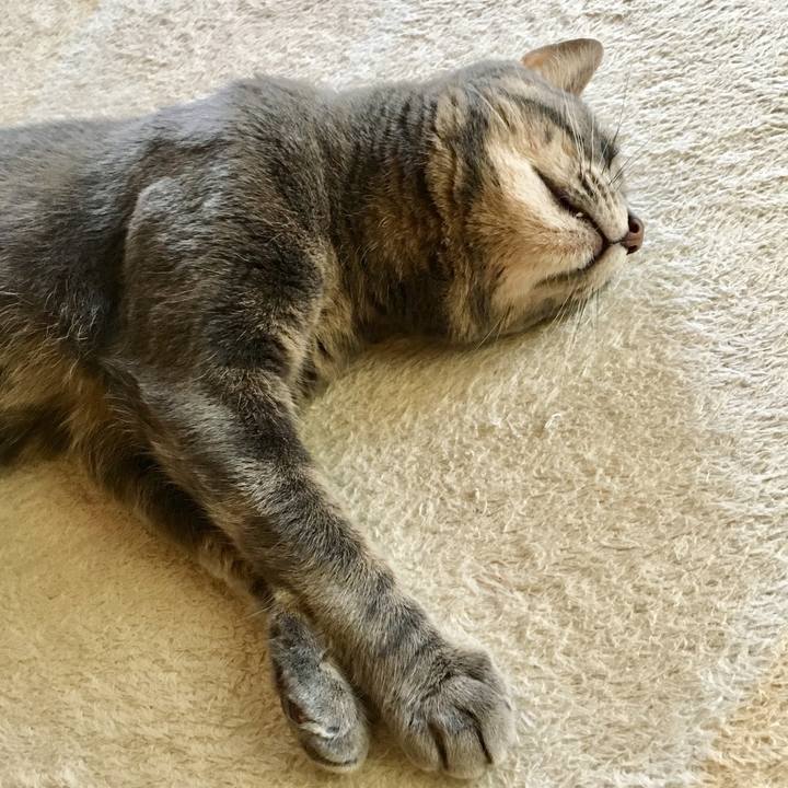 06b6d397 7ea9 4b1d 9fee 124d11f4d286 1558913785985