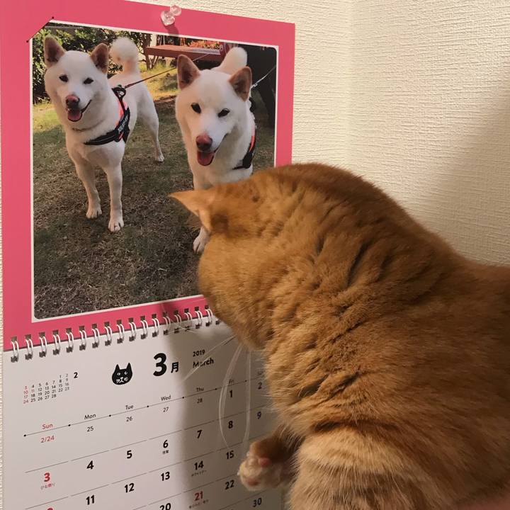 06b6fd09 edec 4c73 a7d9 5eeb4d337330 1551396281213