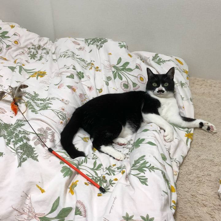 06b70053 40de 4988 95a2 56c6e48cb58b 1516543284622