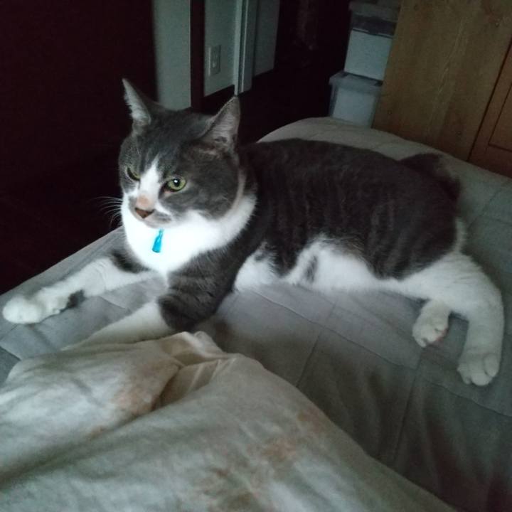 06b7270a b1df 4bf8 932c 4baa2241eabe 1631742899577