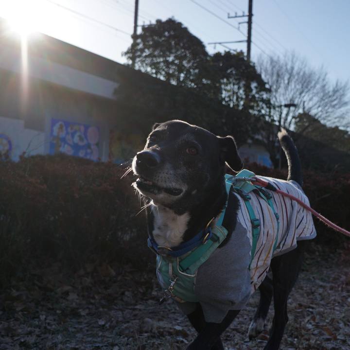 06b72fda d710 4940 930c 4fe3be524741 1771634339750