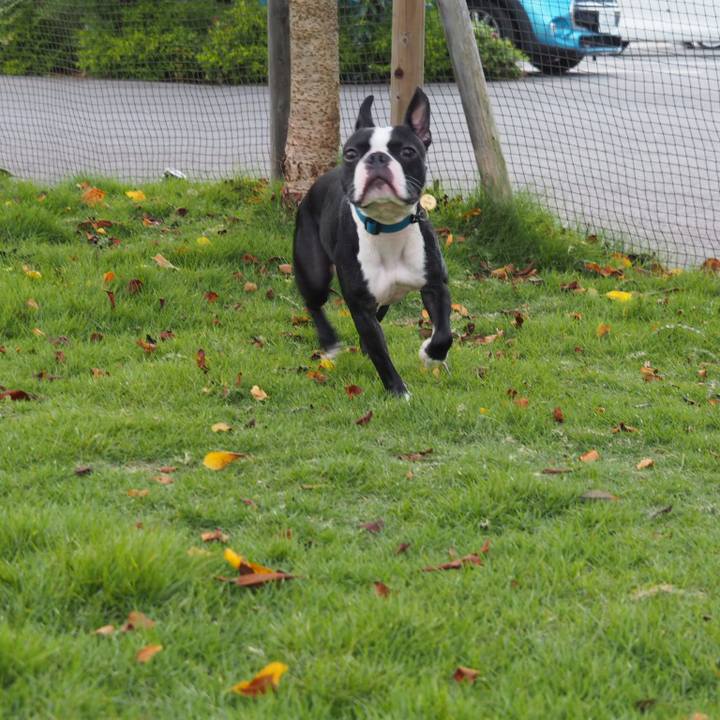 06b7884f b65a 4498 af22 b86e877b0bf2 1567074819715