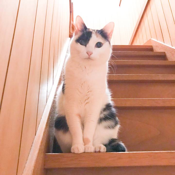 06b7a720 7f68 4f44 afe1 c4efa082d5ae 1520744329318