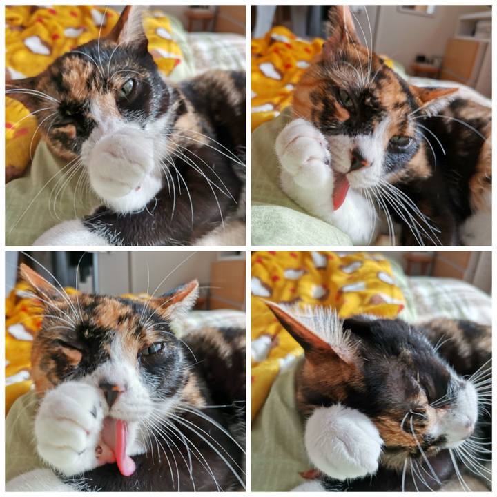 06b7ad44 8b73 4505 90e4 68df9c813ea5 1641700395016