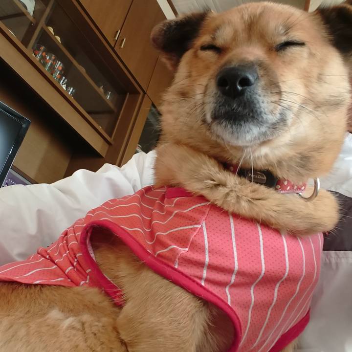 06b7b8ed 2804 4f1e 8530 a3ebbad631a0 1574243091218