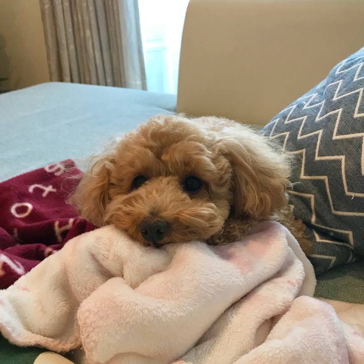 06b7bad2 56ad 486d 84c1 1dd39fff4761 1545872024660