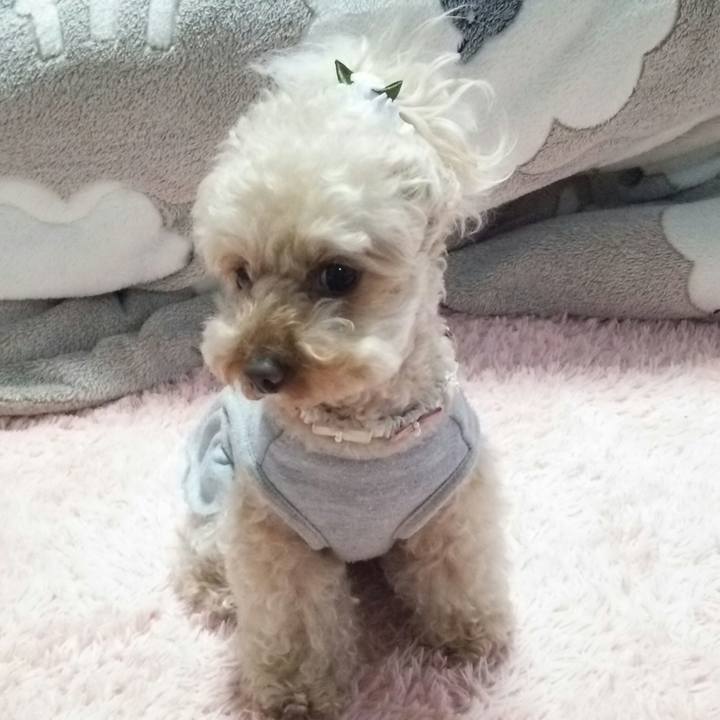 06b7caf9 505a 404c 8ecd 5262cf451ff9 1523696650086