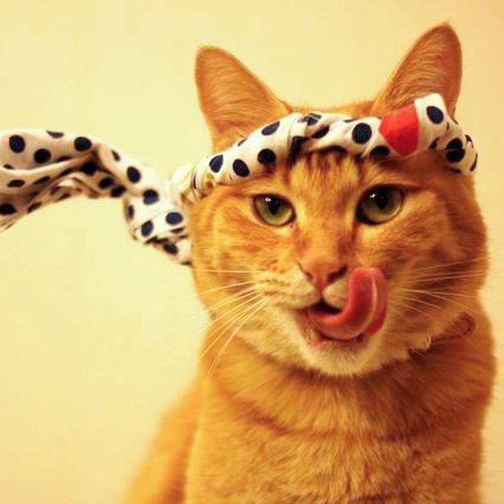 06b7db6c 212b 42f9 996d 512ebc88612c 1719788055753