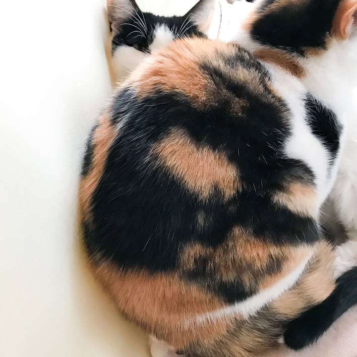 06b7df70 ac12 4ee8 b7ef c44740480bd3 1515631158697