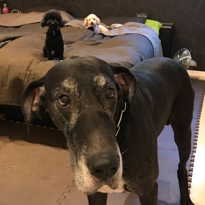 06b80188 2e1d 46f7 bcdb ac8518aee507 1538433500296