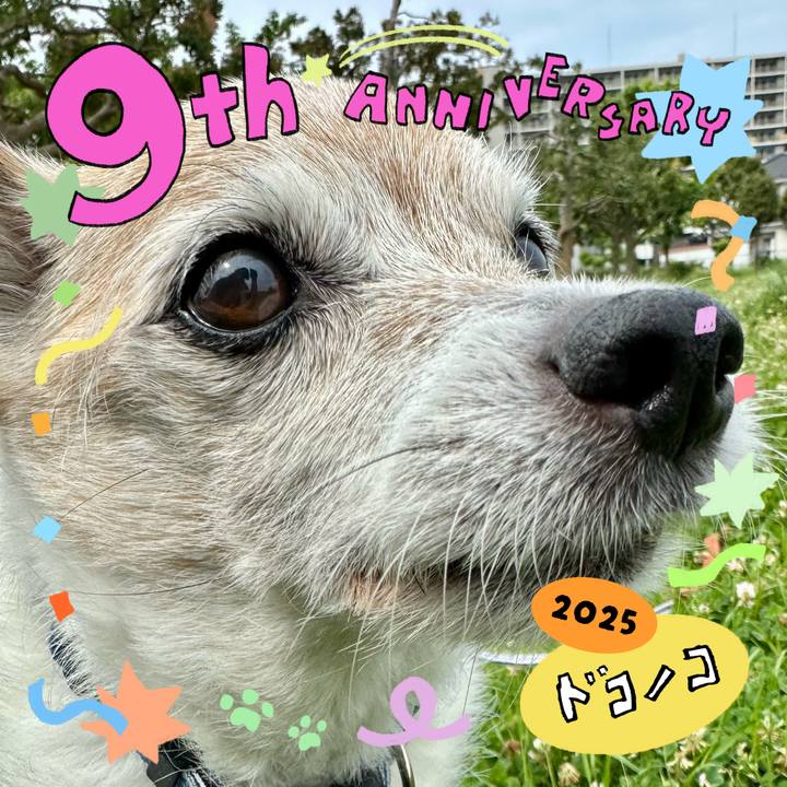 06b80282 46a3 48e3 832c 04a54474fbac 1749114355164