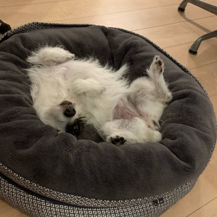 06b862df 9b59 4cf4 b932 7a8ea880f2ea 1687868044616