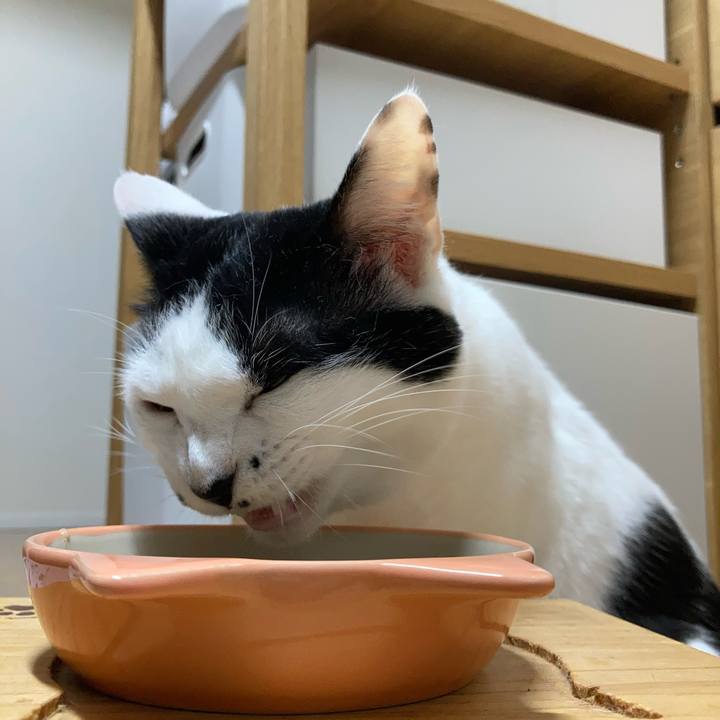 06b870bb 1460 4dc9 bd4e 07671f7b30b9 1758228982129