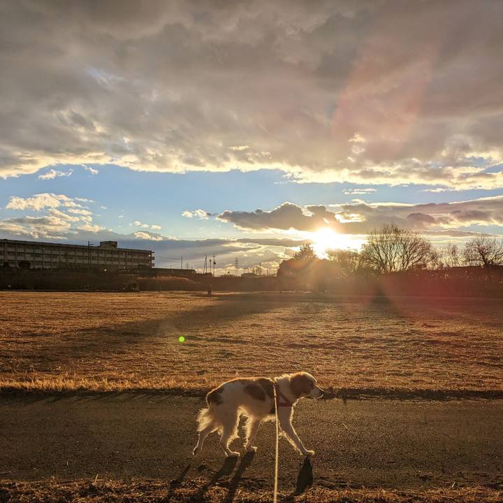 06b87549 f7d1 4565 b656 cde7498fb455 1672831140473