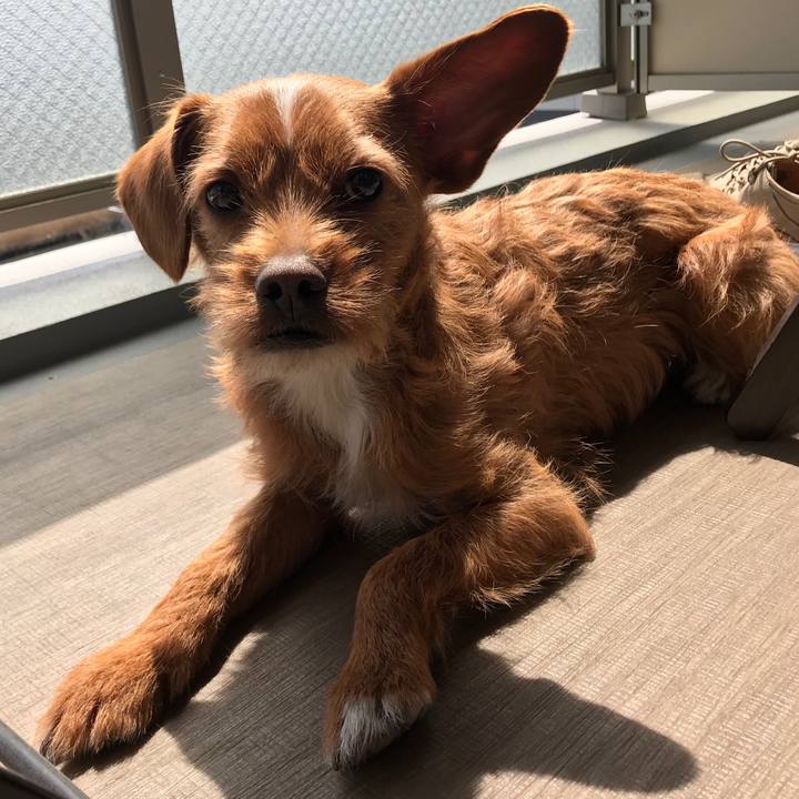 06b8822a 55a3 4993 b5a9 ffaef0621f04 1555214419016