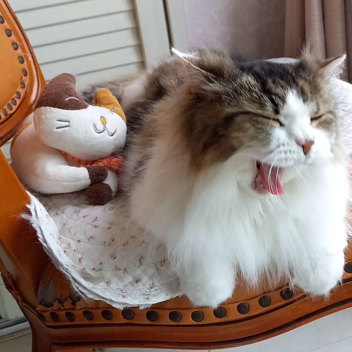 06b8897e d3cd 4bc9 a4aa 579df2a71c99 1623961253780