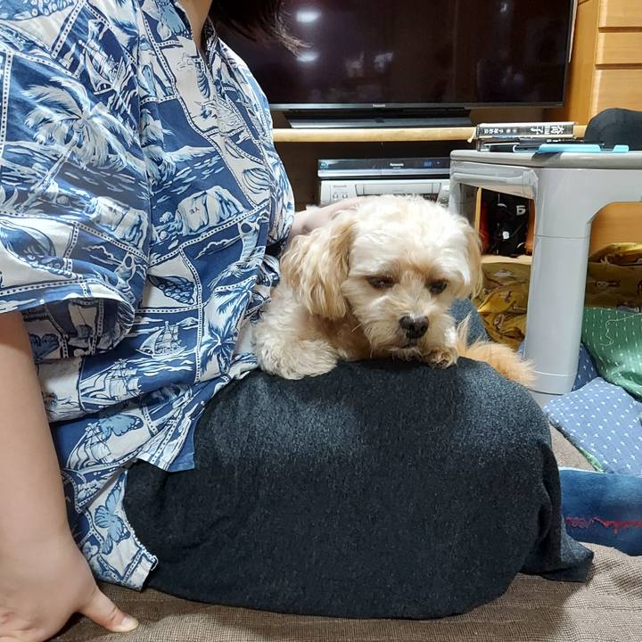 06b8a35e acc7 4ff8 b3e1 0e73c5a451b5 1633007536523