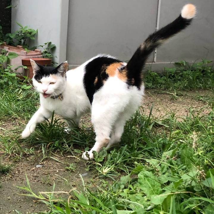 06b8ad2e df55 4f59 b336 9eb51c139a12 1630664647501