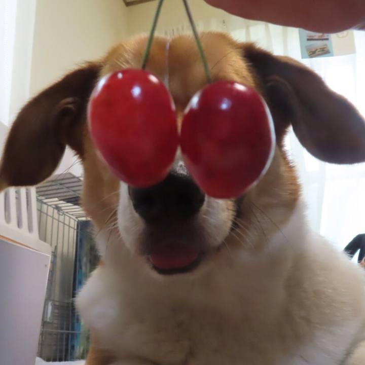 06b8bb5b 5b99 4e66 84d9 e201668e3fe5 1624414715470