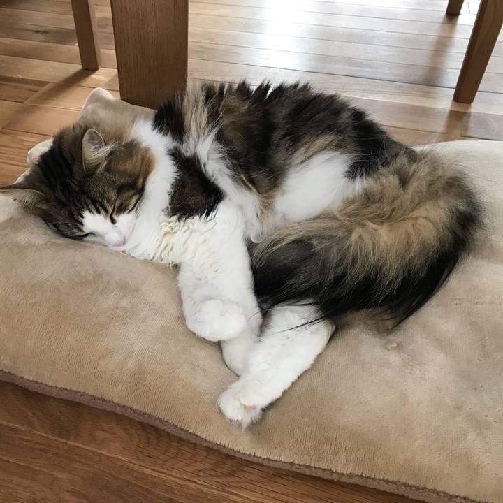 06b909fe c73a 4e2d b205 8287244c30c2 1554697934748