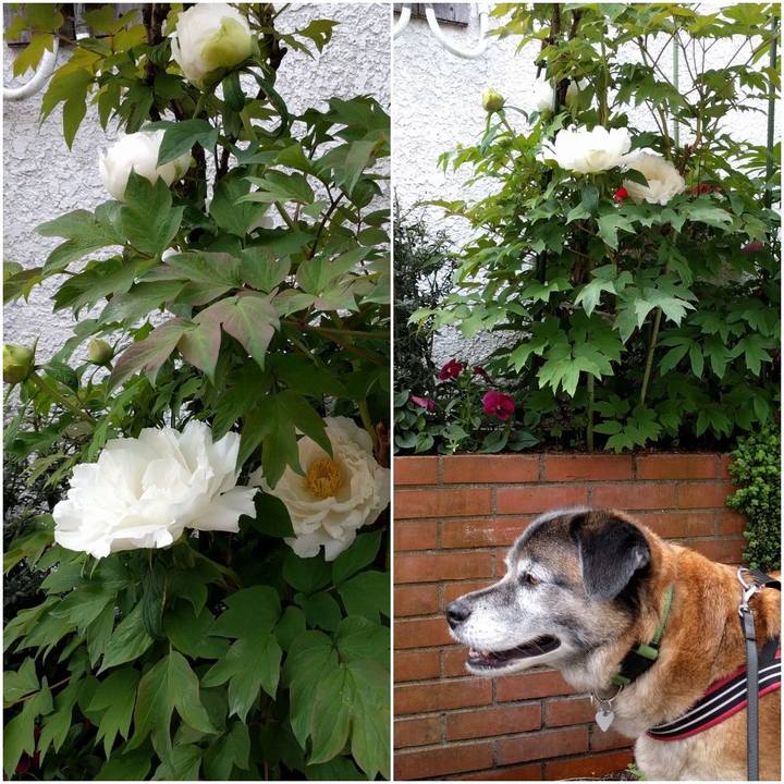 06b92fa3 eddb 411d 96b5 93353257859c 1556187546828