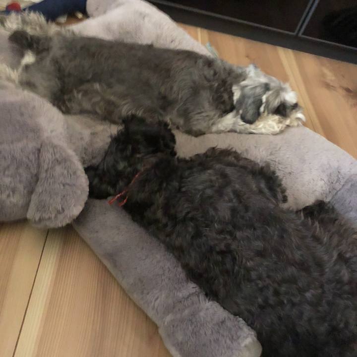 06b946ea 7733 42f9 96f7 286e453d5e21 1535262169928