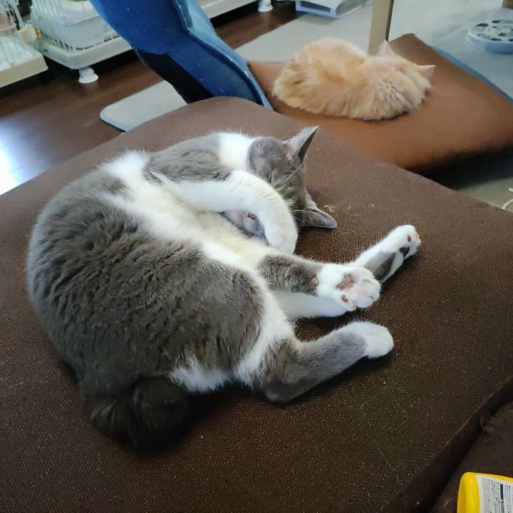 06b96dcb 3671 4067 b3a3 5e65cd08b16d 1724671410031